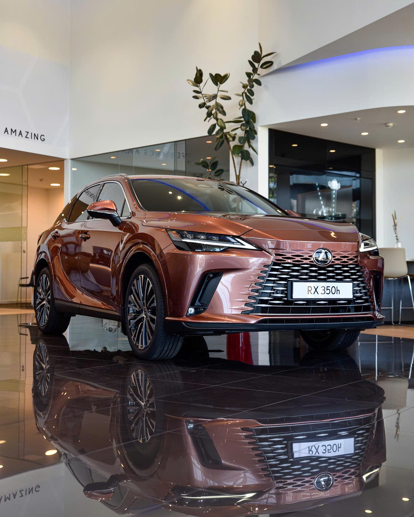 Lexus RX 350h đi đường dài có phù hợp không