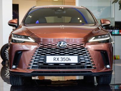 Bảo hành Lexus RX 350h 2026 10 năm cho xe và pin Hybrid