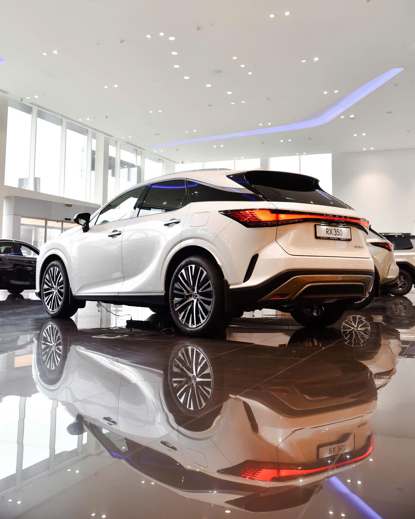 Chi tiết Lexus RX 350h Premium 2026