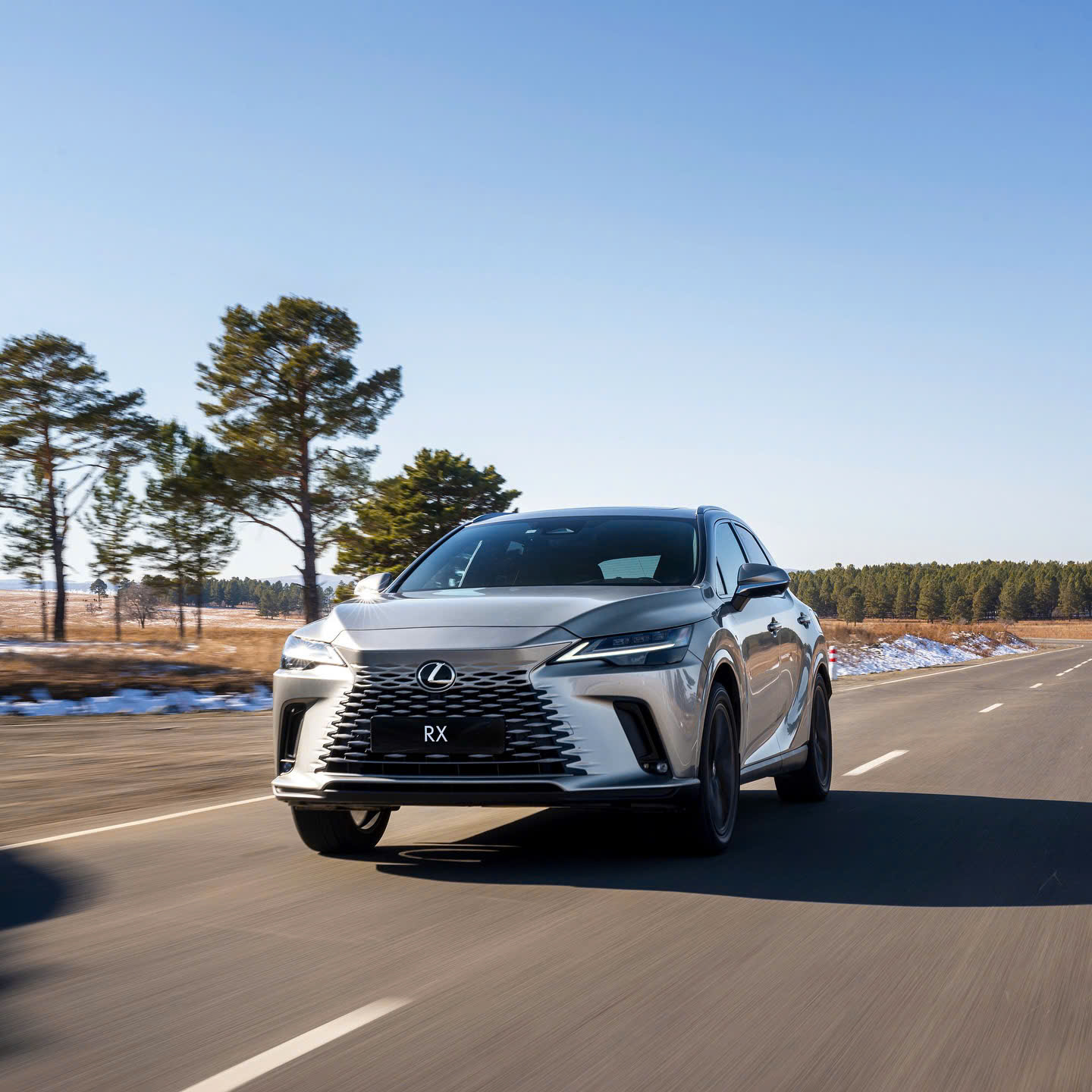 Lexus RX 350h 2026 phù hợp người lớn tuổi - vận hành đường trường
