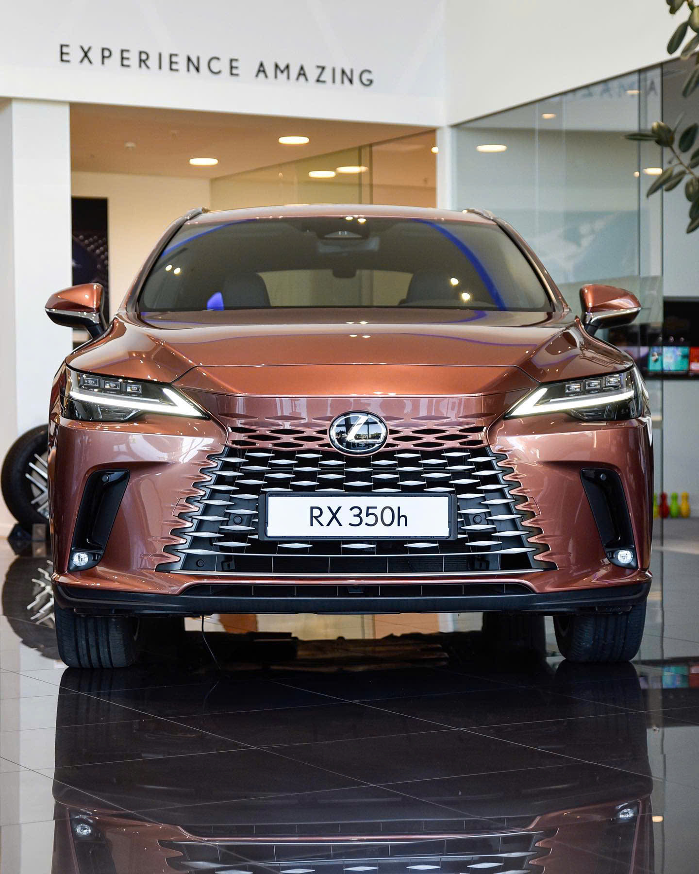 Lexus RX 350h Hybrid chính hãng tại Việt Nam