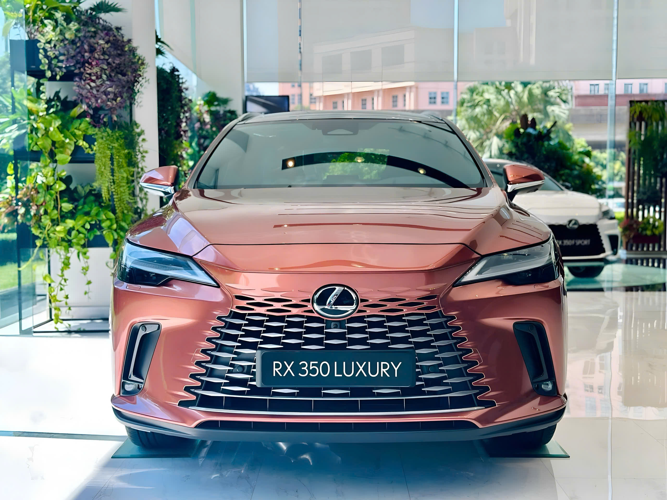 Lexus RX 350h Luxury 2026 màu cam