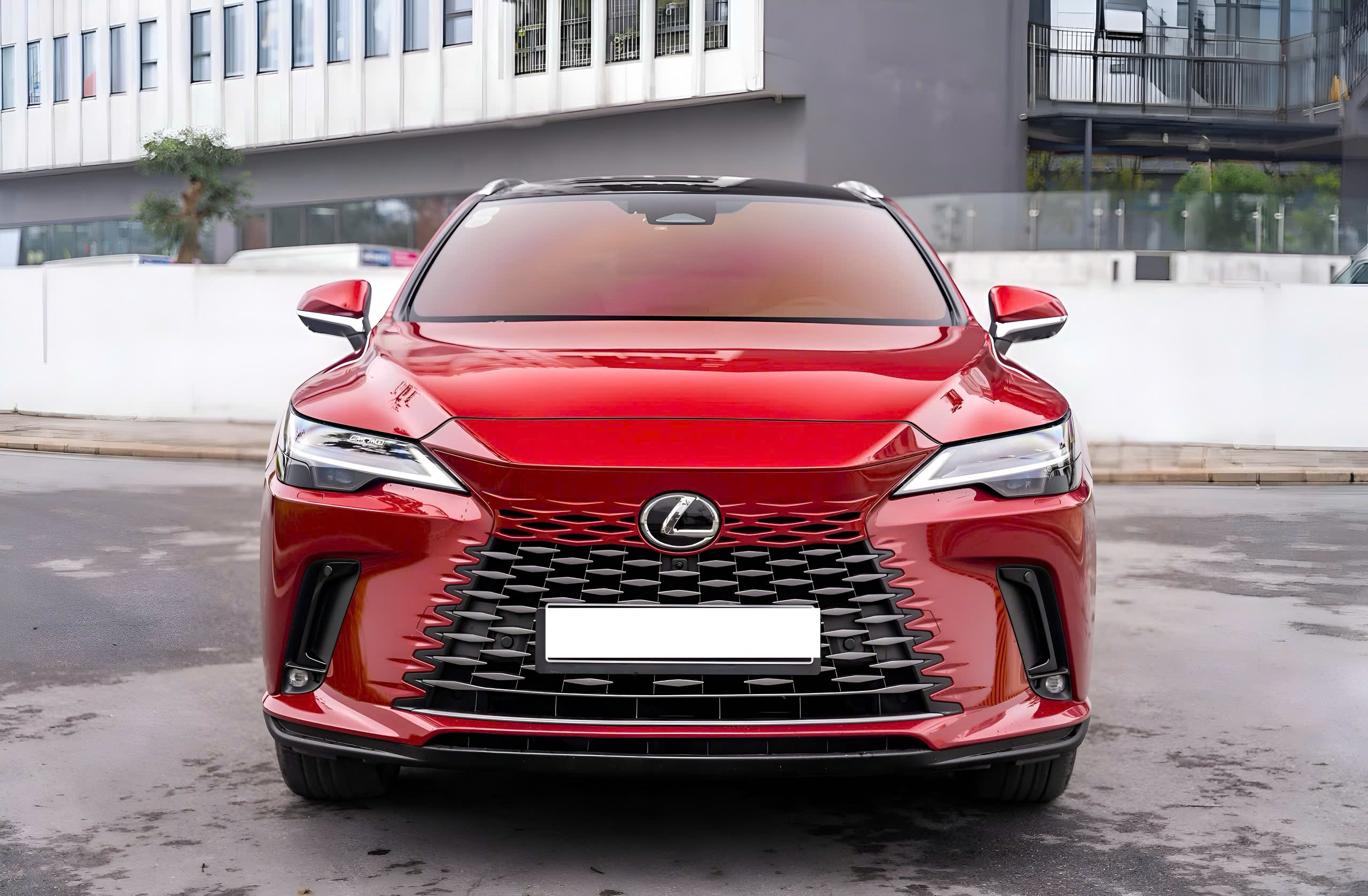 Lexus RX 350h Premium hay RX 350 Luxury 2026 - RX 350h Premium màu đỏ