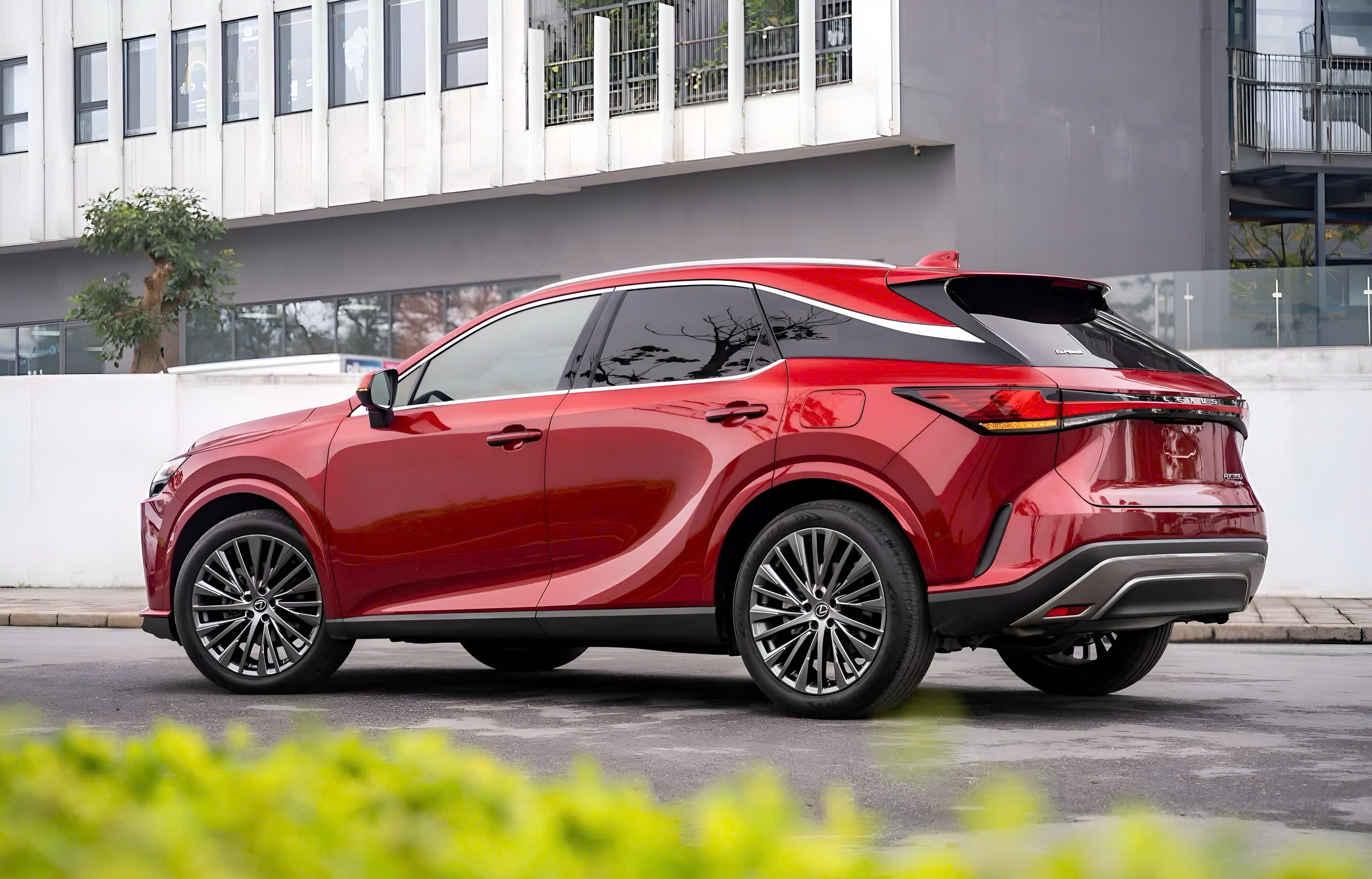 Lexus RX 350h Premium màu đỏ góc sau