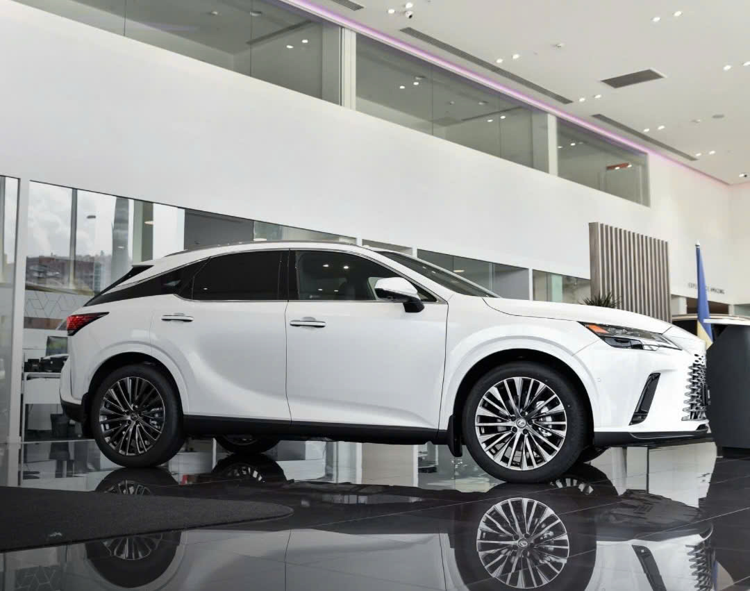 Ngoại thất Lexus RX 350h Premium màu trắng